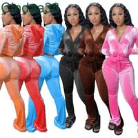 Wholesale Women Tracksuits Velvet Hoodie Sweatpants Solid Two Piece Outfits Pink Velour Sweatsuits Zipper Pocket Long Sleeve Jacket Bell Wid Legging
