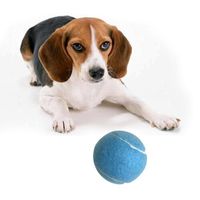 Wholesale Dog Toys Chews cm Tennis Ball For Pet Chew Toy Big Inflatable Outdoor Jumbo Training Chewing ToysT