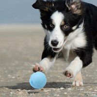 Wholesale Dog Toys Chews Pet Tennis Trainning Ball IQ Chew Toy With Frangrance Suppliers