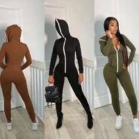 Wholesale Gym Clothing Sportswear Solid Chic Zipper Hooded Sports Fitness Jumpsuit Women Tight Sexy Long sleeved Hip lifting Pants Running Yoga Suit