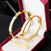 Wholesale Men Gold Bracelet Screw Bangle Womens Mens Luxury Designer Bangles Wedding Lovers Party Gift Love Stainless Steel Jewelry Diamond Screwdriver Silver Bracelets