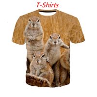 Wholesale Men s T Shirts Animals Squirrel Kawaii Clothing d Print T Shirts Sweatshirt Harajuku Funny Cool Tee Streetwear Hiphop Pullover Tracksuit To