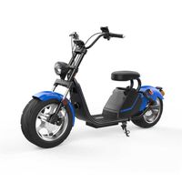 Wholesale Wide Tire Electrics Motorcycles EEC COC H3 Two Wheel Electric Bicycles W V AH Electric Bicycle Scooter Detachable Battery