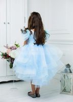 Wholesale Girl s Dresses Sky Blue Puffy Girls Organza Tiered Kids Clothes O Neck High Low Flower Girl Dress Birthday Gown