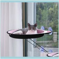 Wholesale Beds Furniture Pet Supplies Home Garden6 Color Perch Window Mounted Cat Cooling Canvas Suction Cups Suthe Hammock Bed For Cats Dogs House1