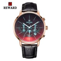 Wholesale REWARD Watches RD83001M Men Waterproof Leather WristWatches Mens Color Changing Colorful Glassic Quartz Wristwatch Big Dial Military Battery Watch