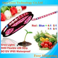 Wholesale m DC12V LED Strip plant grow lights Red Blue for greenhouse Hydroponic plant Growing m