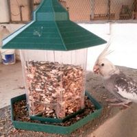 Wholesale Plant Feeder For Resale Group Buy Cheap Plant Feeder