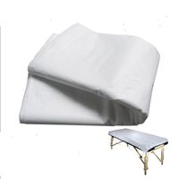 Wholesale Disposable White Massage Bed Sheet Flat Table Cover Waterproof Sheets a Pack