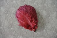 Wholesale inch burgundy ostrich feather for wedding centerpiece decor WEDDINGS party table supply decor