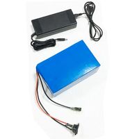 Wholesale Lithium Battery v Ah W Scooter Battery v with v A charger A BMS LiFePo4 Battery v Electric Bike Battery v