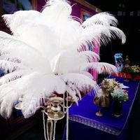 Wholesale White ostrich feather plumes for wedding centerpiece decoraction costume decor supply feather decor