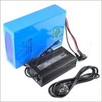 Wholesale Lithium Rechargeable Battery V Ah Electric Bike Battery V For W Motor With A Charger Built in A BMS