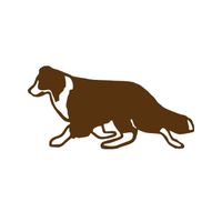 I Love My Border Collie Dog Bone Bumper Sticker Decal DB 159