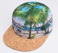 Wholesale 3D Heat Transfer Snapback Caps hip hop cap D thermal transfer printing digital palm baseball cap summer Beach snabpack hat drop shipping