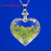 Wholesale Natural Gem Stone Heart Pendants Pendulum Jewelry Amethyst Garnet etc Stone Glass Heart Wishing Bottle Charms Fashion Jewelry
