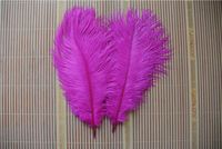 Wholesale inch hot pink fuchsia ostrich feather plume for wedding centerpiece wedding decor event supply party supply