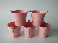Wholesale Metal Pails Mini Buckets Pink Succulents pot small flowers series iron pail storage cup tin box