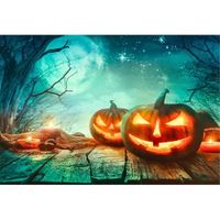 Funnytree 7x5FT Halloween Pumpkin Filed Night Moon Photography Backdrop for Kids Birthday Party Banner Starry Sky Background Photo Booth