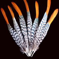 Wholesale bestselling Natural pheasant tail feathers Natural hats craft use Festival and party supplies gt gt celebration party supplies
