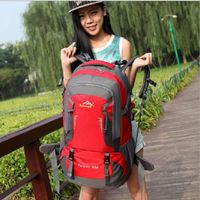 Wholesale 60L New Outdoor Mountaineering Bag Travelling Back Pack Hiking Backpack Cycling Backpack