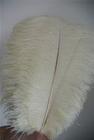 Wholesale IVORY ostrich feather plumes for wedding centerpiece wedding decoraction party event supply decor