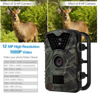 Wholesale Trail Camera Hunting Game Camera CT008 Infrared Night Version inch LCD Screen PIR Sensors IP54 Spray Water Protected design out242