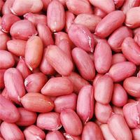 Wholesale 50 seeds pack Chinese Peanut Seeds in one Shell Red Skin Organic Rare Heirloom Peanut germination rate