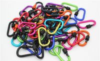 Wholesale Promotion Gift Outdoors Gear Convenient to Carry Carabiner Aquarius Buckle Gadgets Hang up Bottle Mixed Color