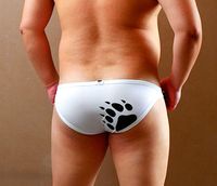 Wholesale Bear Claw Paw Underwear Plus Size Men s Mesh Briefs Gay Gauze Transparent Shorts Designed For Gay Bear M L XL XXL