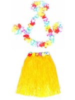 Wholesale 20 Sets cm Hawaiian Hula Grass Skirt pc Lei Set for Adult Luau Fancy Dress Costume Party Beach Flower Garland Set Free Ship