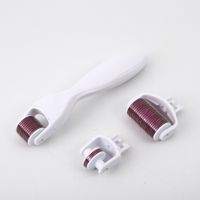 Wholesale dhl Micro Derma Roller Facial Skincare Dermatology Therapy System for Acne Scars Wrinkles Blemish and Blackheads in dermaroller kits