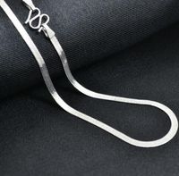Wholesale 18K Platinum Necklace Craved Men Women Curb Snake Necklace