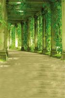Wholesale 8x10ft Garden Photography Backdrops Porch Pillar Green Plants Tree Leaves Column Spring Summer Scenic Photo Background for Studio