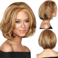 Wholesale European America Women Short Curly Fluffy High temperature Hair Wigs Blonde Brown Synthetic Hair Cosplay Wigs Heat Resistant Caps