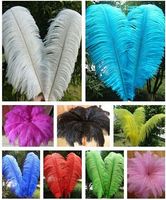 ostrich feathers wholesale uk