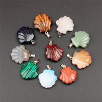 Sea Conch Shells Natural Nz Buy New Sea Conch Shells Natural