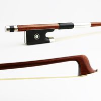 Wholesale NEW Size Pernambuco Violin Bow Round Stick Good Balance Exquisite Horsehair Ebony Frog Violin Parts Accessories