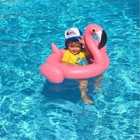Inflatable Swan Uk Inflatable Swan Uk