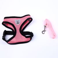 Wholesale Breathable Mesh Small Dog Pet Harness and Leash Set Puppy Vest Pink Red Blue Black For Chihuahua