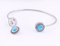 Wholesale Women Fashion Ginger Snap Stainless Steel Bracelet Bangle Interchangeable mm Chunk Diy Snap Jewelry Fit Noosa mm Charm