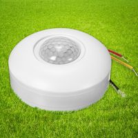 Ceiling Mounted Motion Sensor Light Switch Australia New