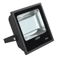 Wholesale outdoor floodlights Waterproof IP65 LED Floodlight Landscape warm white cool white SMD w UL led flood light