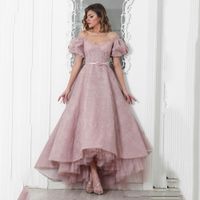 Wholesale Sexy Deep High Low Ball Gown Evening Dresses V Neck Backless Short Sleeves Lace With Bow Sash Evening Patty Gown