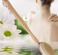 Wholesale Fashion Hot Natural Long Wooden Bristle Body Brush Massager Bath Shower Back Spa Scrubber