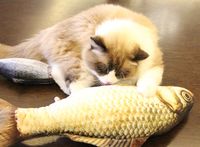 Wholesale Pillow Pets Animals Buy Cheap Pillow Pets Animals 2020