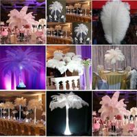 Wholesale inch White black red pink blue yellow green purple rose Ostrich Feather Plumes for Wedding centerpiece table centerpiece