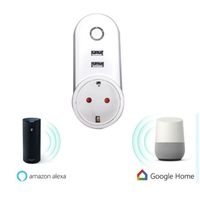 Wholesale WIFI Smart Plug Socket USB port works with Alexa Google home phone APP Voice Remote Control EU US UK Plug for Household Electrical