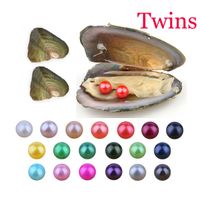 Wholesale Oyster with Natural Grade mm Round Multicolored Freshwater Wish Twins Pearl Vacuum Package for Kids Party Fun Gifts
