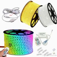 Wholesale 110V V Dimmable Led Strips M M M High Voltage SMD RGB Led Strips Lights Waterproof IR Remote Control Power Supply